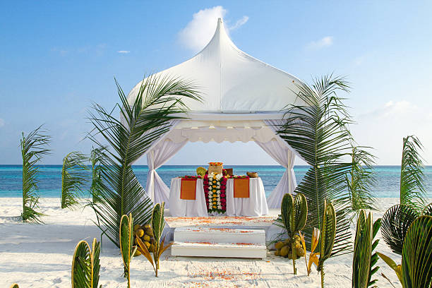 Discover the Most Breathtaking Beach Wedding Venues in India