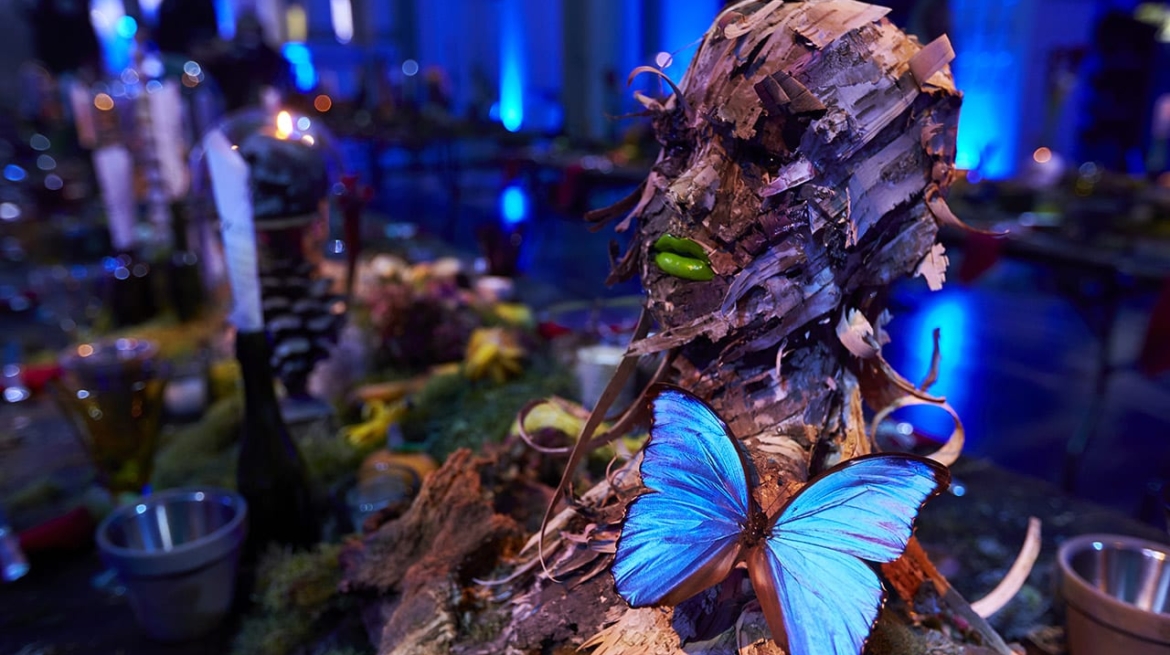 Luxury Birthday Party Planner