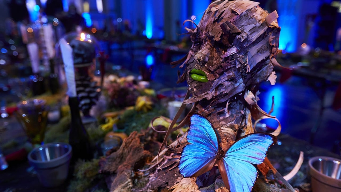 Luxury Birthday Party Planner